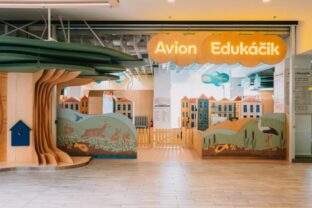 89909_avion edukacik 1 640x420.jpg