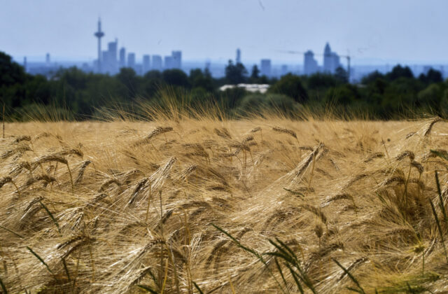 89916_aptopix_germany_weather_60138 640x420.jpg