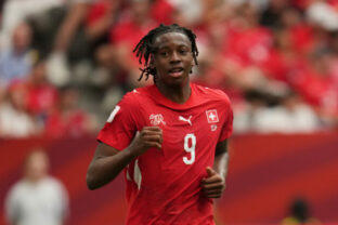 92644_switzerland_wcup_soccer_73554 640x420.jpg