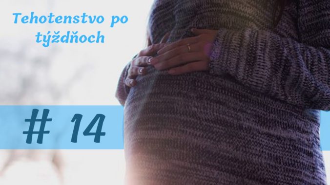 14. týždeň tehotenstva: Koniec prvotným symptómom