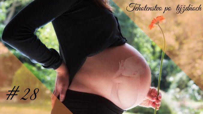 28. týždeň tehotenstva: Sledujte kopnutia drobčeka