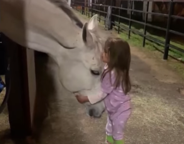 Dojímavé video zo stajne: Iba 5 ročné dievčatko objíma a tíši majestátneho koňa