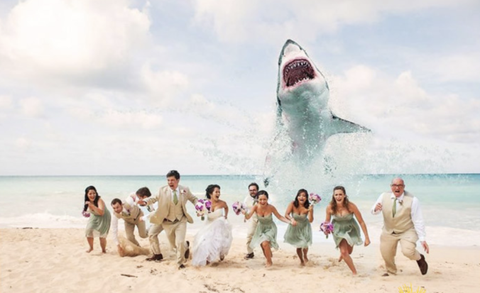Útok žraloka na novomanželov i vpád zombíkov na obrad. Hororové svadobné zábery sa tešia čoraz väčšej popularite