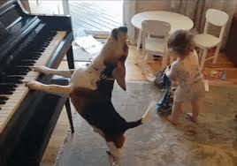 Zohrané duo: Batoľa tancuje, zatiaľ čo jeho psí kamoš hrá na klavíri a spieva