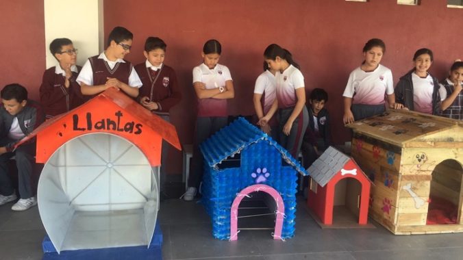 Malí Mexičania postavili psíkom z ulice prístrešky z odpadového materiálu