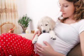 Šteňa ako tehotenský test? Psy dokážu odhaliť tehotenstvo ženy skôr!