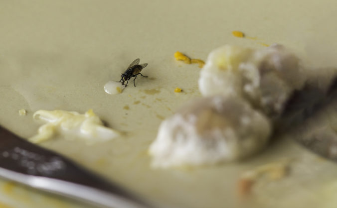 Dajte si pozor na muchy utopené v jedle