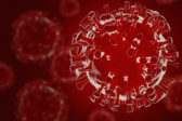 Vedci prišli na to, že koronavírus viac ohrozuje jedinca s jednou krvnou skupinou