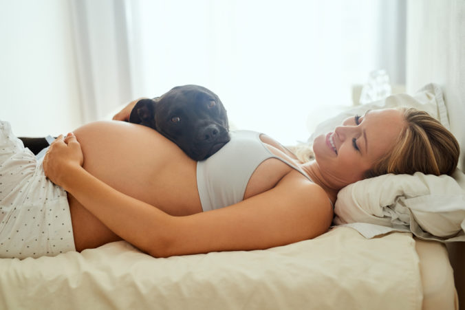 Aké sú výhody toho, keď máte počas tehotenstva pri sebe psa? Vedci v tom majú jasno