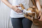 Keď sa tehotná žena zobudila, stál pri nej pes. Z toho, čo uvidela po chvíli, bola šokovaná