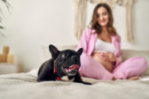 Vedci zistili prečo by mala mať tehotná žena pri sebe psa