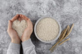 Hnedá vs. biela ryža: Ktorá je skutočne lepšia pre vaše zdravie?