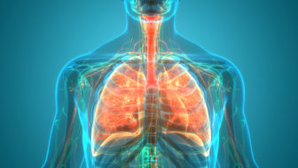Ako udržať pľúca zdravé: Kompletný sprievodca pre každého