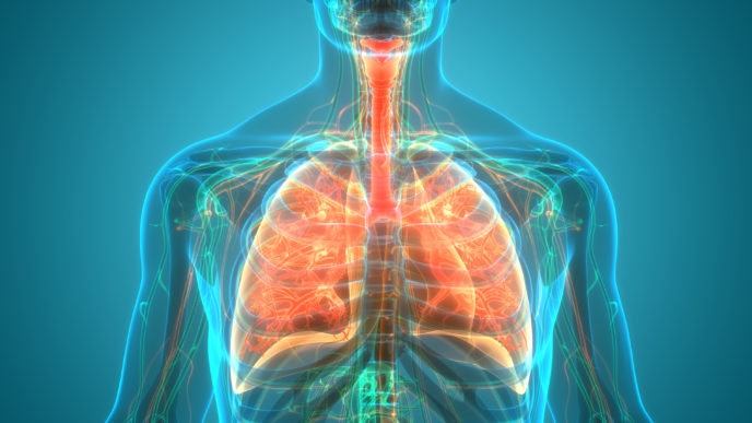 Ako udržať pľúca zdravé: Kompletný sprievodca pre každého