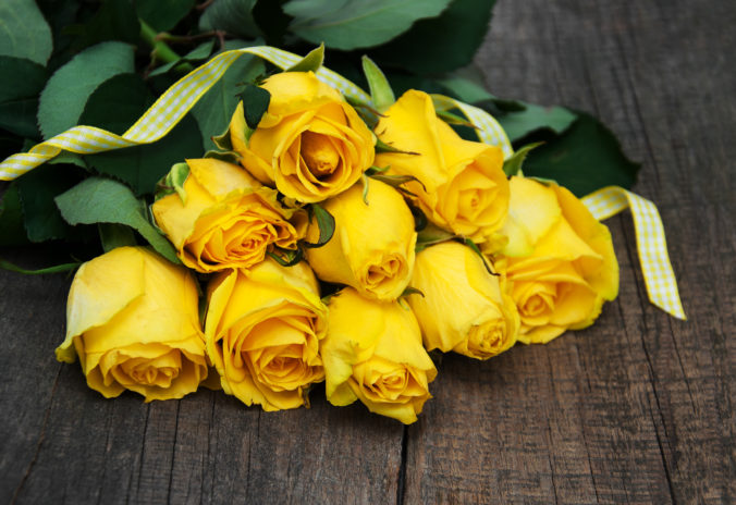 Čo symbolizujú žlté ruže v snoch aj v živote? Spoznajte ich skutočný význam