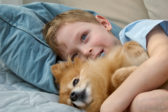 Podľa veterinára je nevhodné, aby spal domáci maznáčik spolu s dieťaťom v posteli. Aké sú dôvody?