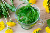 Využite prvé jarné bylinky na prípravu lahodného čaju plného vitamínov