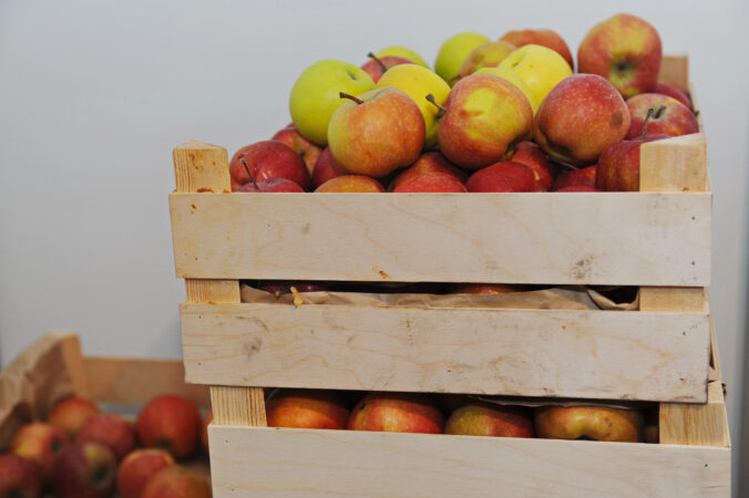 Správne skladovanie jabĺk ovplyvňuje ich životnosť