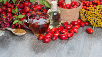 Ako na jeseň posilniť imunitu pomocou echinacey, šípok a rakytníka