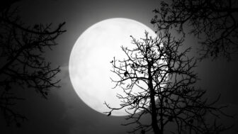 Novembrový nov Mesiaca: čas na hlboké zastavenie, vnútorný reštart a silné emócie