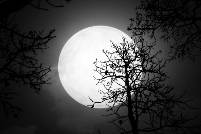 Novembrový nov Mesiaca: čas na hlboké zastavenie, vnútorný reštart a silné emócie