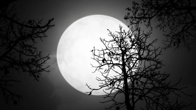 Novembrový nov Mesiaca: čas na hlboké zastavenie, vnútorný reštart a silné emócie