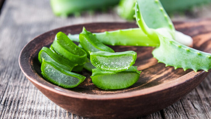 Aloe vera: prírodný spojenec pre každodennú starostlivosť o telo, pleť aj zdravie