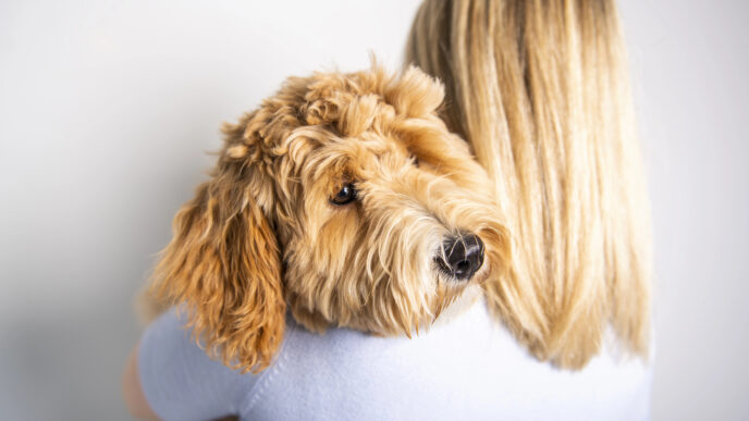 Psi naozaj neklamú: ako vyzerá ich reakcia, keď pri človeku vycítia niečo temné