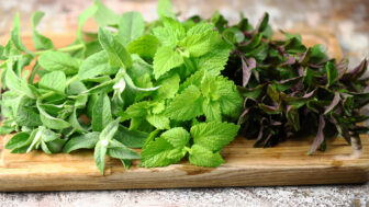 Bylinky, ktoré vám pomôžu postaviť sa znovu na nohy pri chrípke aj obyčajnom nachladnutí