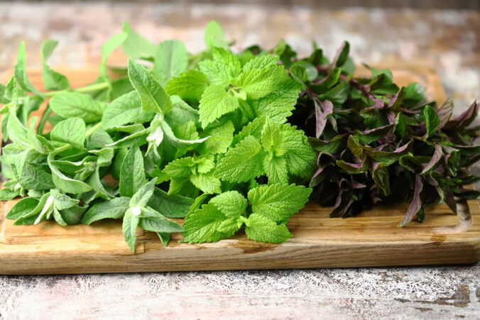 Bylinky, ktoré vám pomôžu postaviť sa znovu na nohy pri chrípke aj obyčajnom nachladnutí