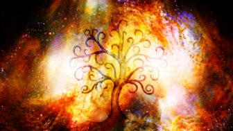 Strom vášho života podľa Keltov: Čo odhaľuje o vašej osobnosti?