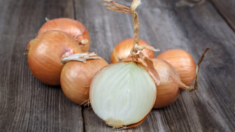 Cibuľa – jednoduchá surovina s prekvapivo silnými liečivými účinkami