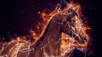 Rok Ohnivého Koňa je tu: obdobie odvahy, zmien a nespútanej energie