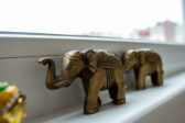 Slon vo vašej domácnosti: Symbol prosperity podľa feng shui