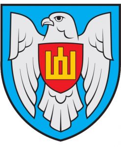 logo Lithuanian Air Forces